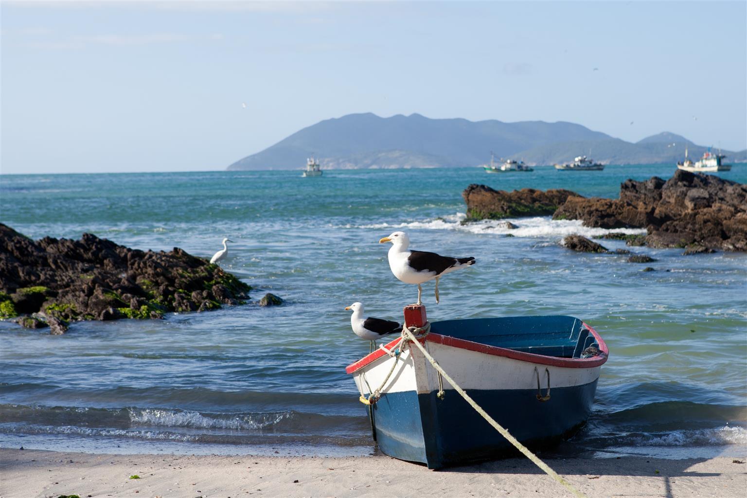 Oasis Cabo Frio Hotel מראה חיצוני תמונה
